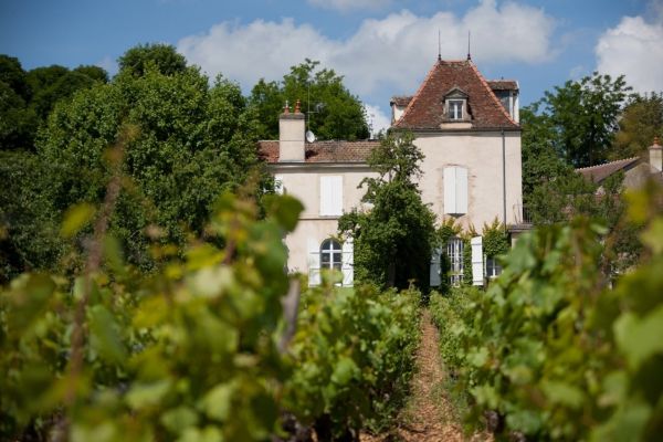 Déjeuner-dégustation au Domaine Comte Senard  et  Repas à La Dame d'Aquitaine